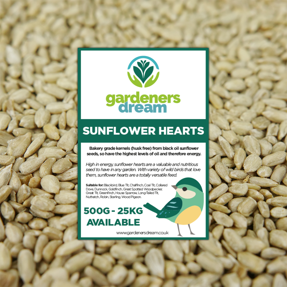 Gardeners Dream Gardenersdream Sunflower Hearts - Kernels Premium Seed Bakery Wild Bird Food