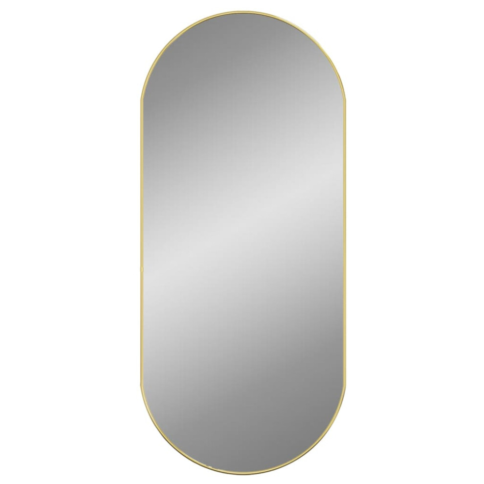 (gold, 100 X 45 cm) vidaXL Wall Mirror Oval Hall Vanity Toilet Hanging Mirror Multi Colours/Sizes