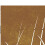 VidaXL vidaXL Gartentor 85x150 cm Cortenstahl Gras-Design 8