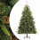 VidaXL (180 cm) vidaXL Artificial Hinged Christmas Tree Decor Pre Lit Xmas Tree with Cones 1