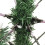 VidaXL (180 cm) vidaXL Artificial Hinged Christmas Tree Pre Lit Xmas Tree with Cones & Berries 7