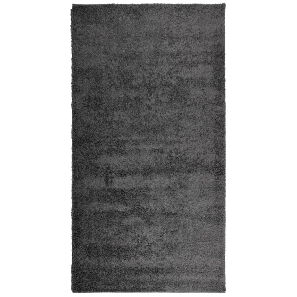 (anthracite, 80 x 150 cm) vidaXL Shaggy Rug Floor Mat Fluffy Rug Area Rug PAMPLONA High Pile Modern