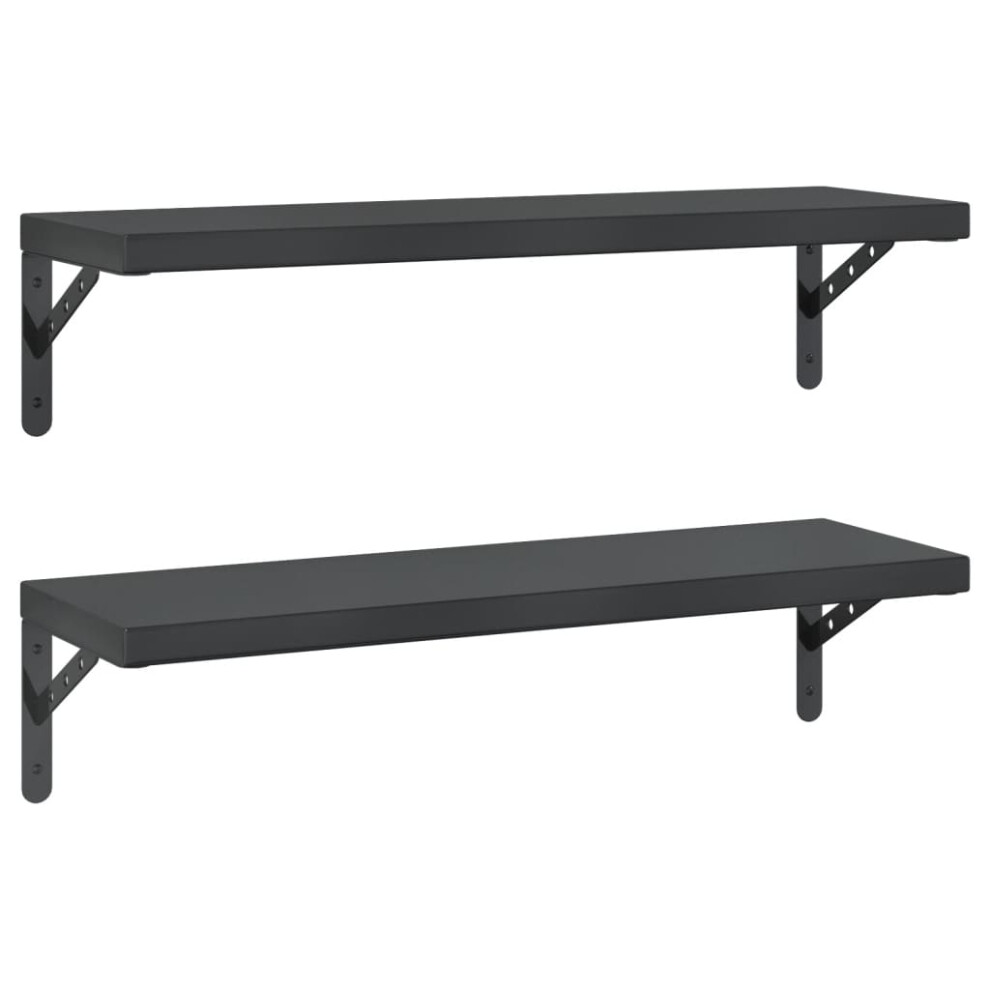 vidaXL Wall Shelves Floating Shelf Storage Shelf 2 pcs Black Stainless Steel