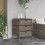 VidaXL vidaXL Gartenschrank Grau 55x59x80 cm Poly Rattan 3