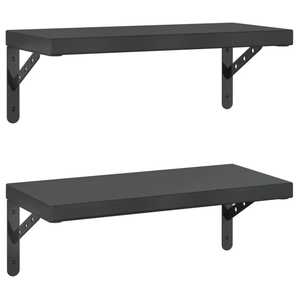 vidaXL Wall Shelves Floating Shelf Storage Shelf 2 pcs Black Stainless Steel