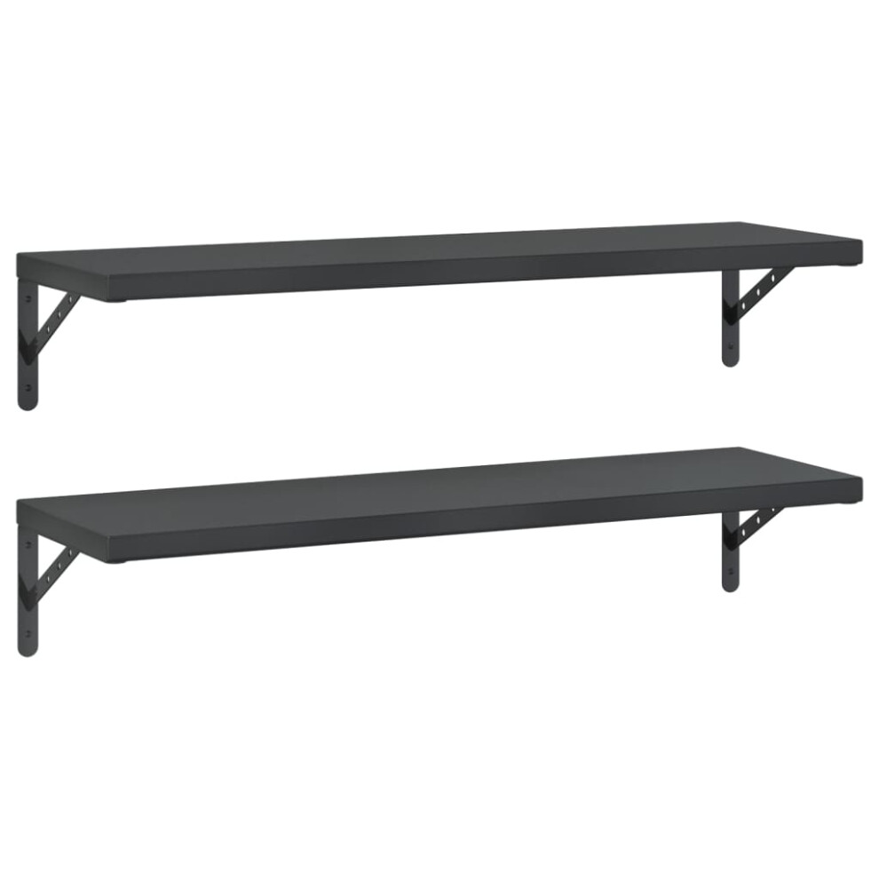 vidaXL Wall Shelves Floating Shelf Storage Shelf 2 pcs Black Stainless Steel