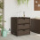 VidaXL vidaXL Gartenschrank Braun 55x59x69 cm Poly Rattan 3