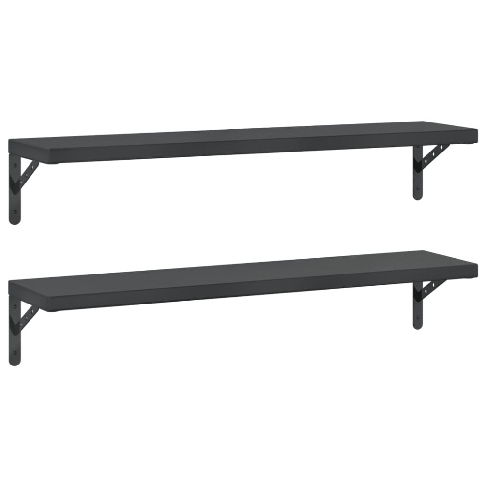 vidaXL Wall Shelves Floating Shelf Storage Shelf 2 pcs Black Stainless Steel