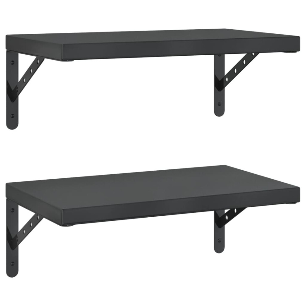 vidaXL Wall Shelves Floating Shelf Storage Shelf 2 pcs Black Stainless Steel