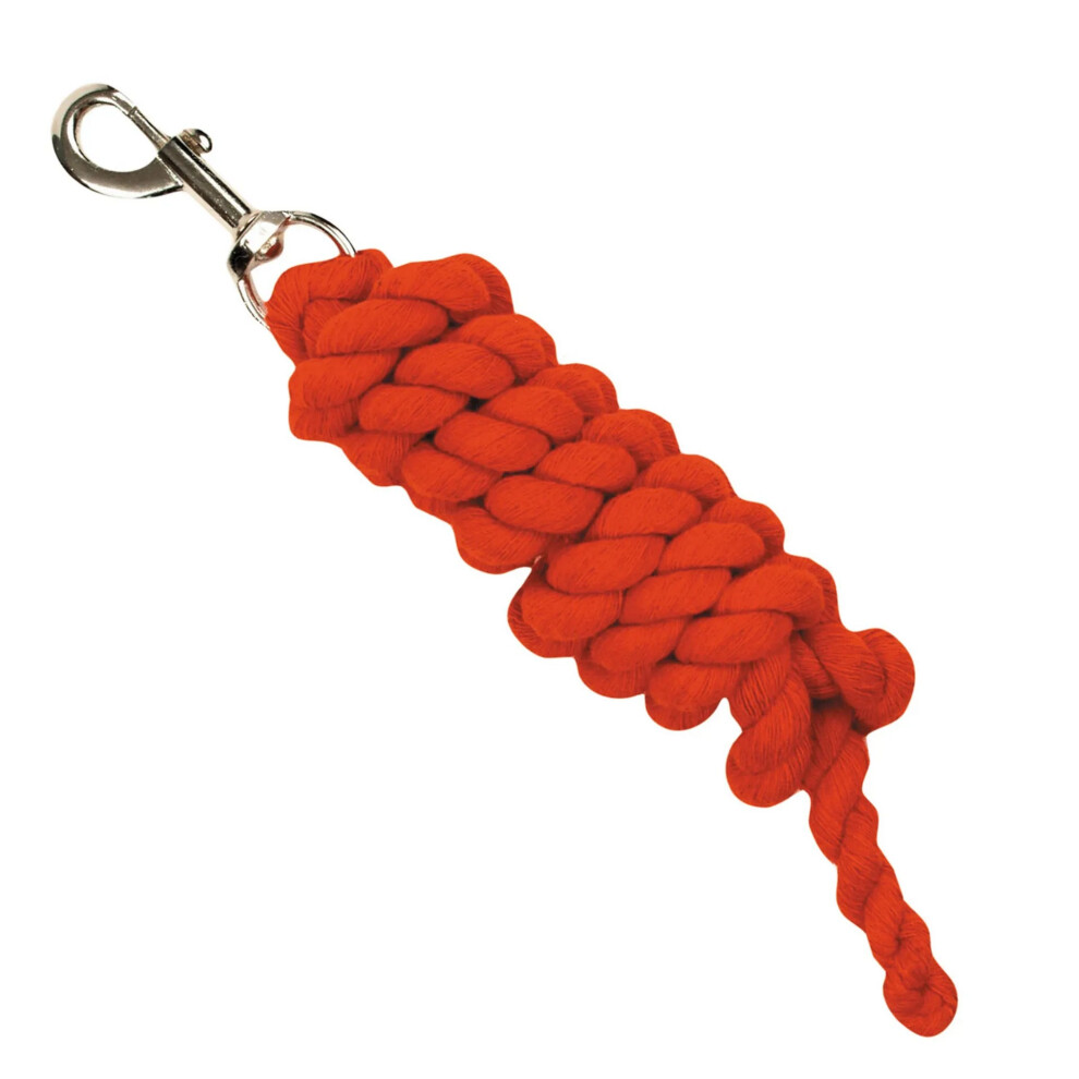 (2m, Red) Roma Twisted Dog Lead