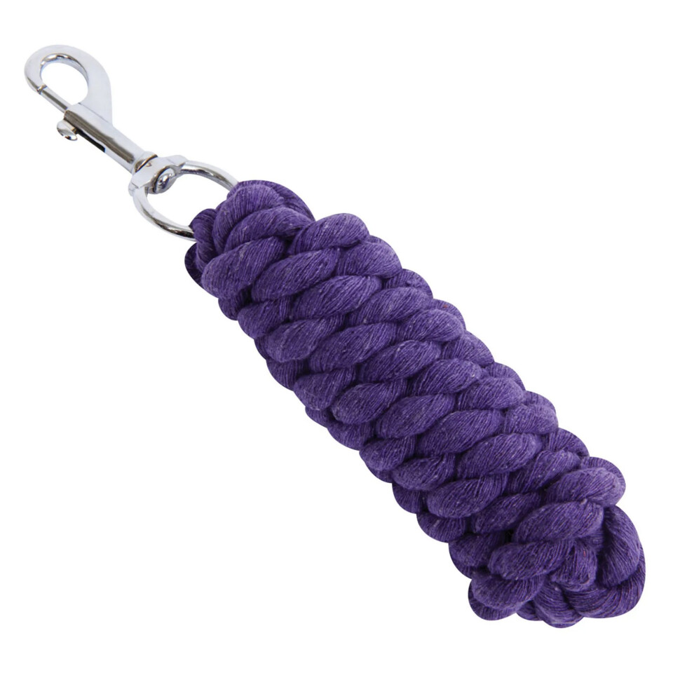 (2m, Purple) Roma Twisted Dog Lead