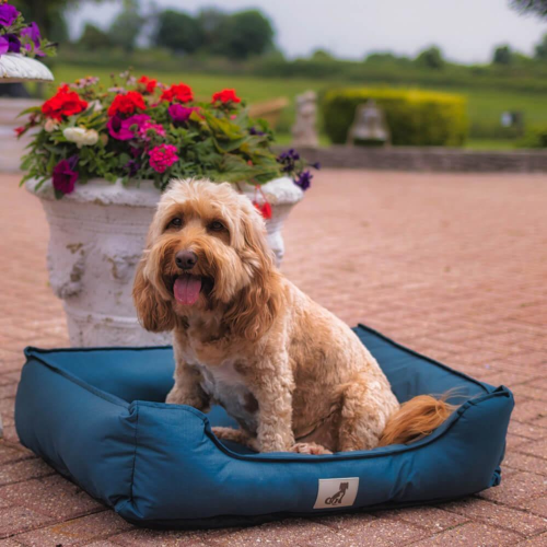 AllPetSolutions Dexter Waterproof Dog Bed Blue - Size L 90x70x20cm