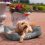 AllPetSolutions Dexter Waterproof Dog Bed  Grey - Size M 75x58x19cm 2