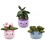 Potted Plant Plush 14cm (Styles Vary) 1