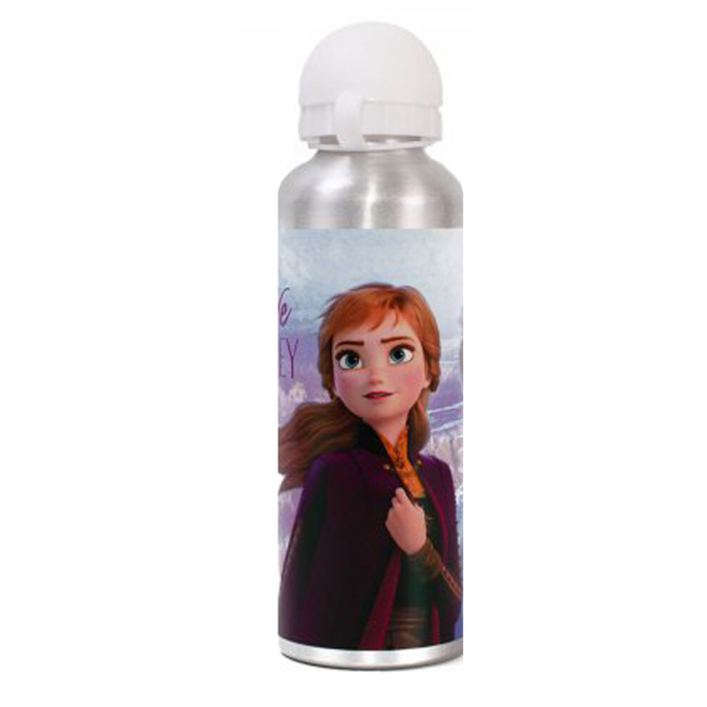 Disney Frozen Aluminium Bottle Water Drinks Children Character Silver