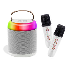 Mini machine de karaoké portable, haut-parleur Bluetooth avec 2 microphones sans fil pour enfants et adultes, jouets musicaux pour