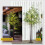 Homcom HOMCOM 180cm Olive Tree Light w/ 300 Warm White LED Lights Artificial Tree 6