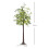Homcom HOMCOM 180cm Olive Tree Light w/ 300 Warm White LED Lights Artificial Tree 2