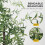 Homcom HOMCOM 180cm Olive Tree Light w/ 300 Warm White LED Lights Artificial Tree 5