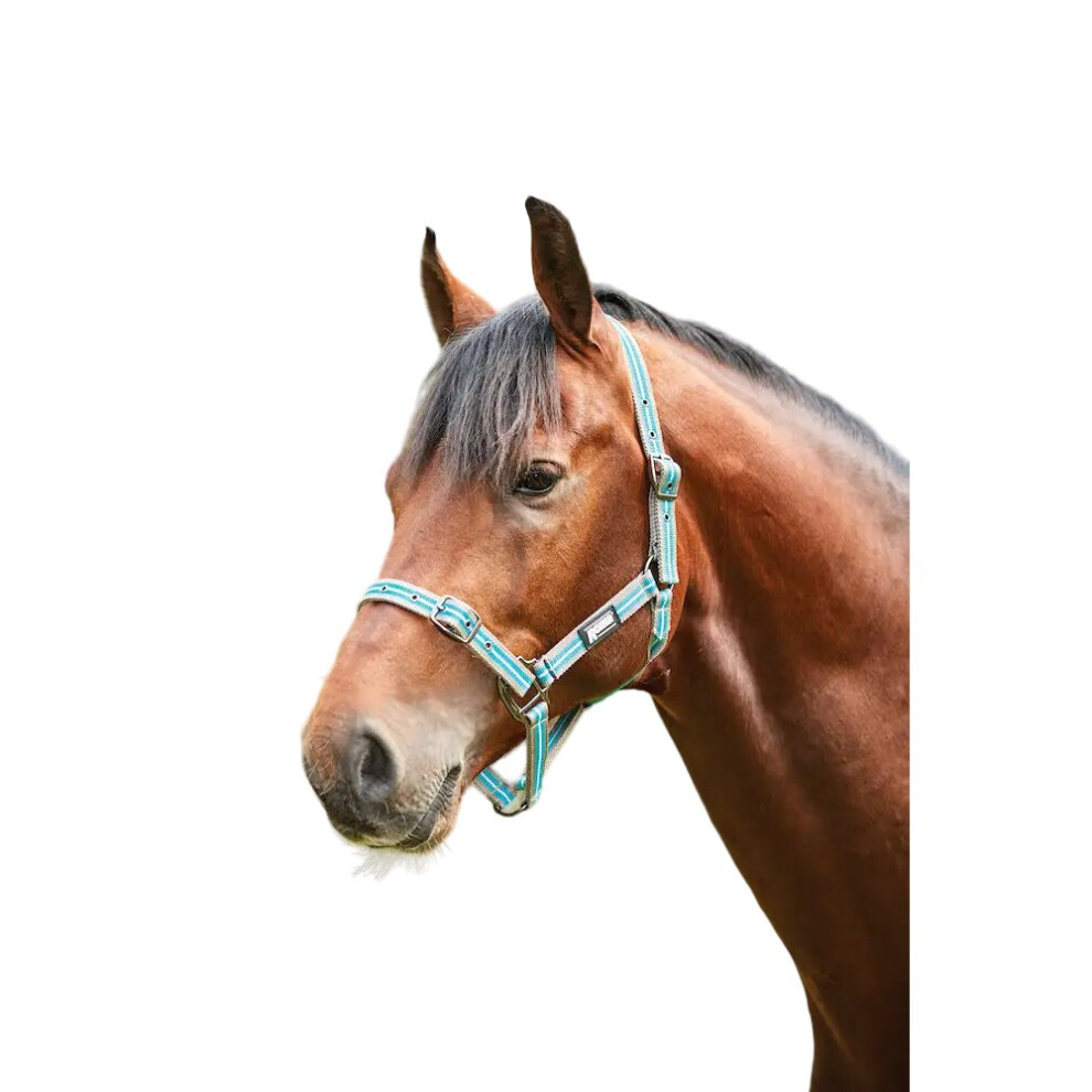 (Pony, Grey/Peach/Turquoise) Roma Stripe Horse Headcollar