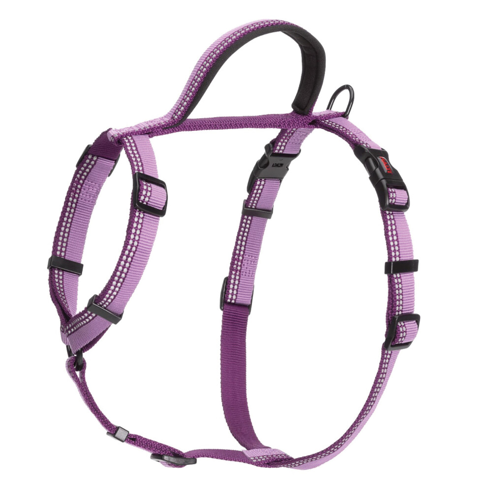 (Large- Chest: 68cm-100cm, Purple) Halti Walking Two Tone Dog Harness