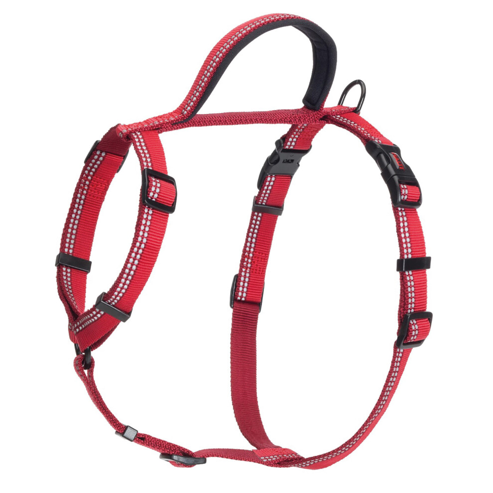 (Small- Chest: 43cm-60cm, Red) Halti Walking Two Tone Dog Harness