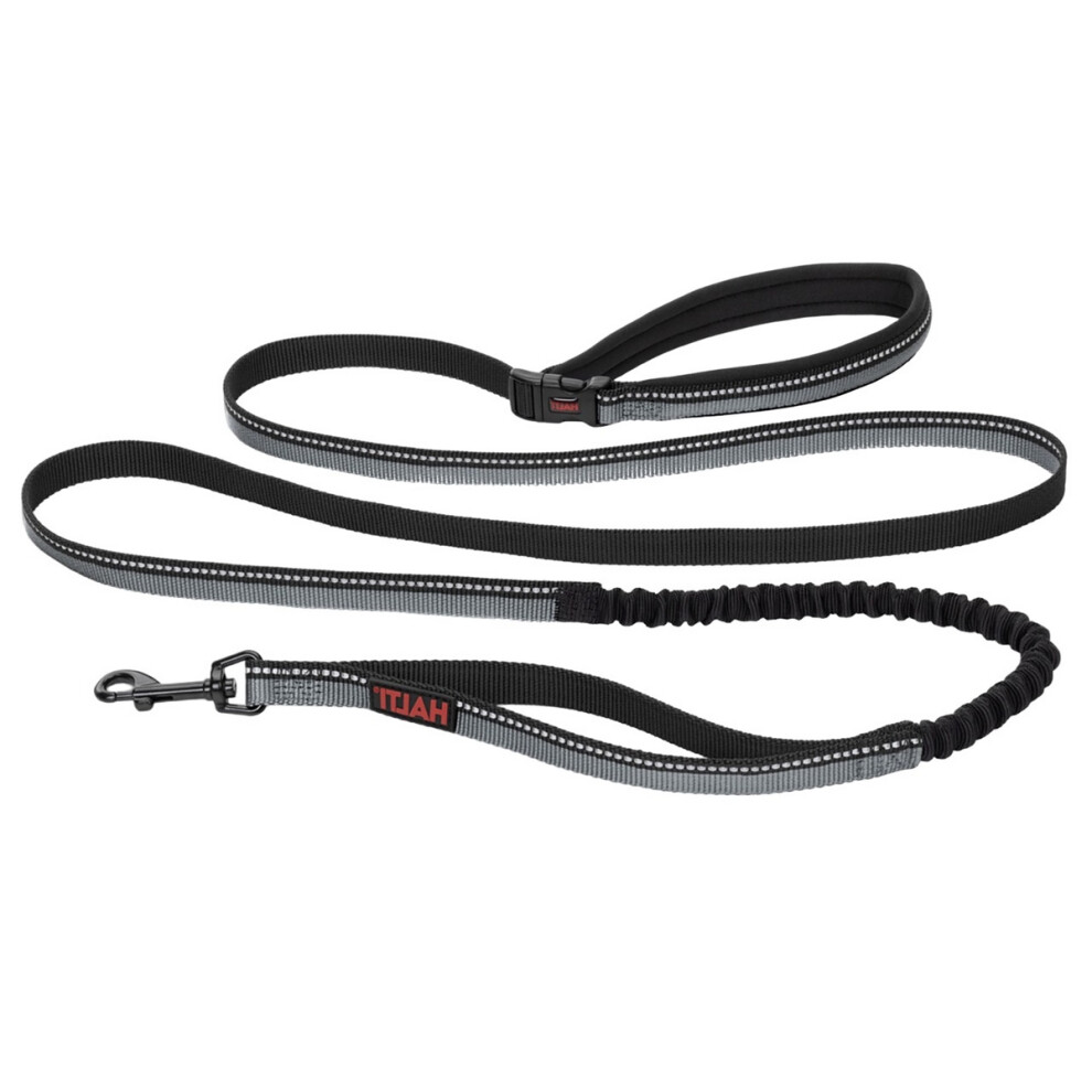 (Large-2.5cm-2.1m, Black) Halti Active Dog Lead