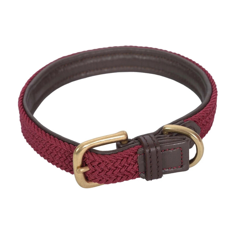 Plaited Leather Dog Collar