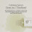 Beauty of Joseon Serum Line Calming Serum Green tea+Panthenol 2