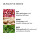 Molton Brown Fiery Pink Pepper Hand Cream 40 ml 3