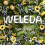 Weleda Pomegranate Regenerating Hand Cream 50ml 12
