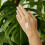 Weleda Pomegranate Regenerating Hand Cream 50ml 3
