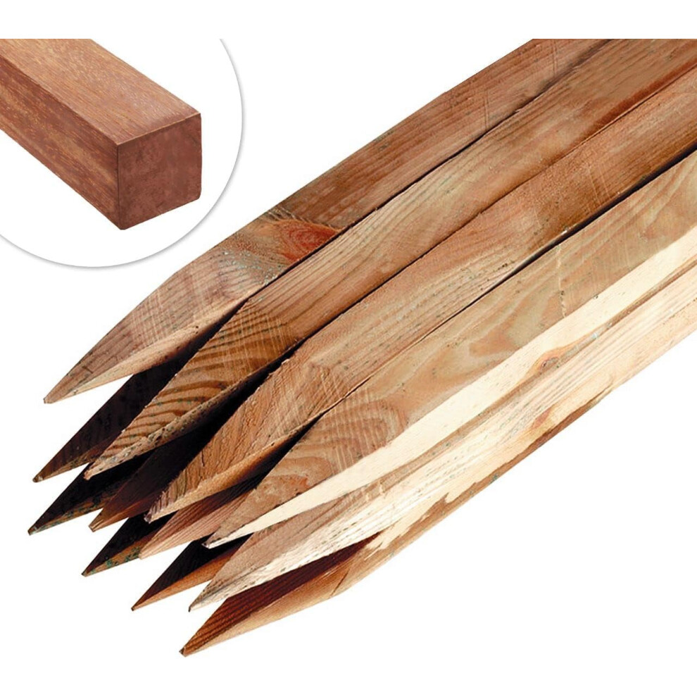 Garden Stakes by Circle of Trust, 30cm Long Wooden Stakes for Plant & Tree Support (pack of 10) - Pressure Treated Timber â 2.5cm Thickness