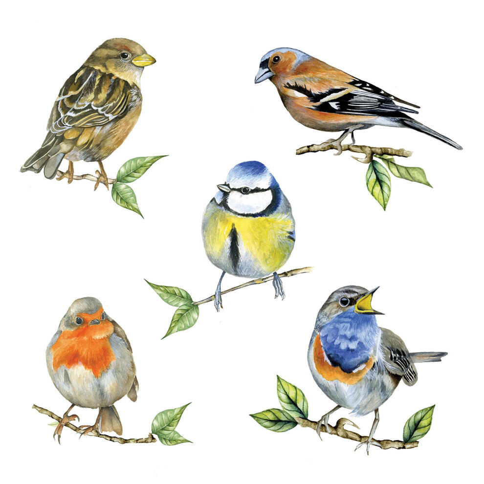Ambiente White 20 Paper Napkins "Bird Species " Vintage Table Decoration With Motif Also For Party Or Decoupage 33 X 33 Cm