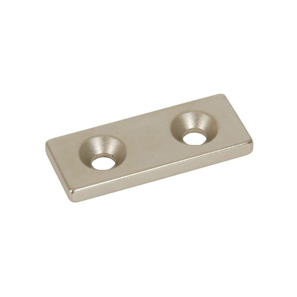 Rare Earth Magnet With 2 Holes (50X20mm) 9319236959855