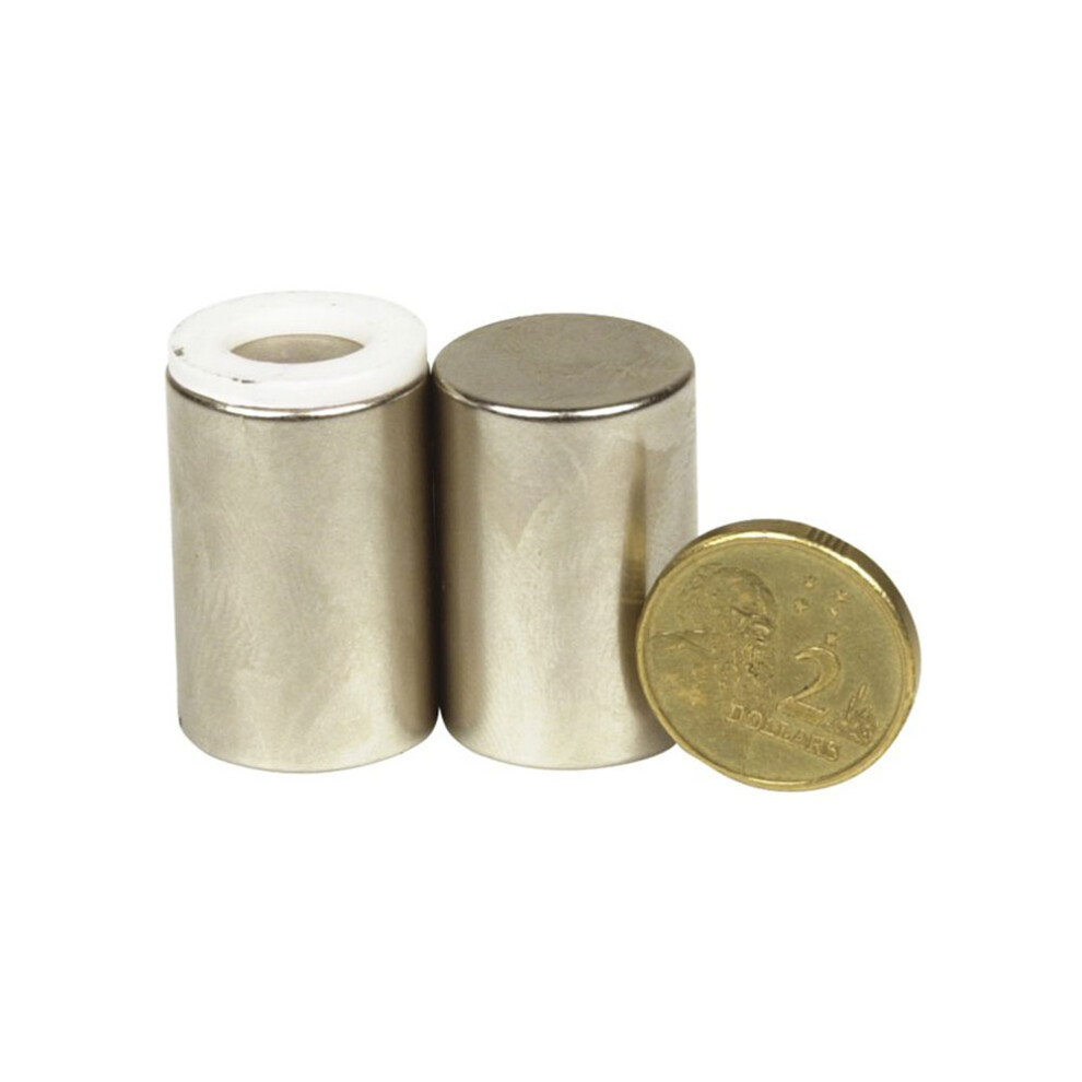 Rare Earth Magnets 2Pcs (Large) 9319236914151