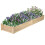 Rectangular Solid Wood Raised Bed Raised Planter Box Garden Raised Flower Bed 3