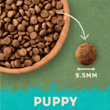 Harringtons Complete Puppy Dry Dog Food Turkey & Rice 10kg - Made with All Natural Ingredients