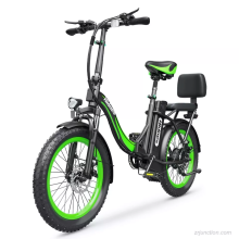 HIDOES C1 Foldable City E-Bike 48v, 13ah, 75OW Electric Hybrid Bicycle