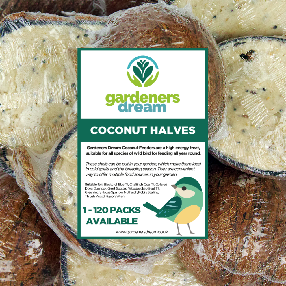 GardenersDream Suet Filled Coconut Halves - Garden Fat Feeder Wild Bird Food