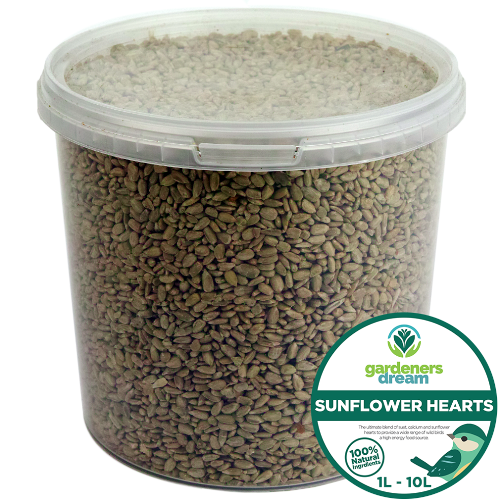 Gardeners Dream Gardenersdream Sunflower Hearts - Kernels Premium Seed Bakery Wild Bird Food