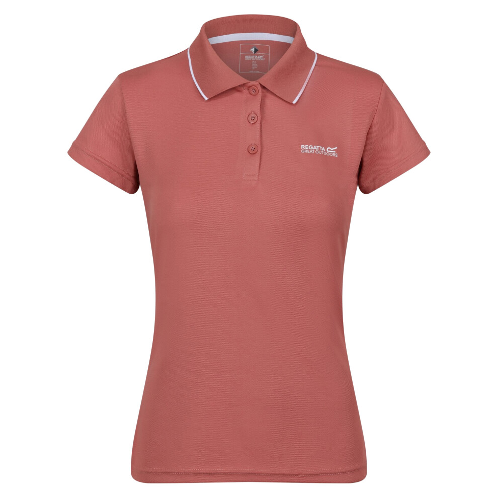 (10 UK, Terracotta) Regatta Womens/Ladies Maverick V Polo Shirt