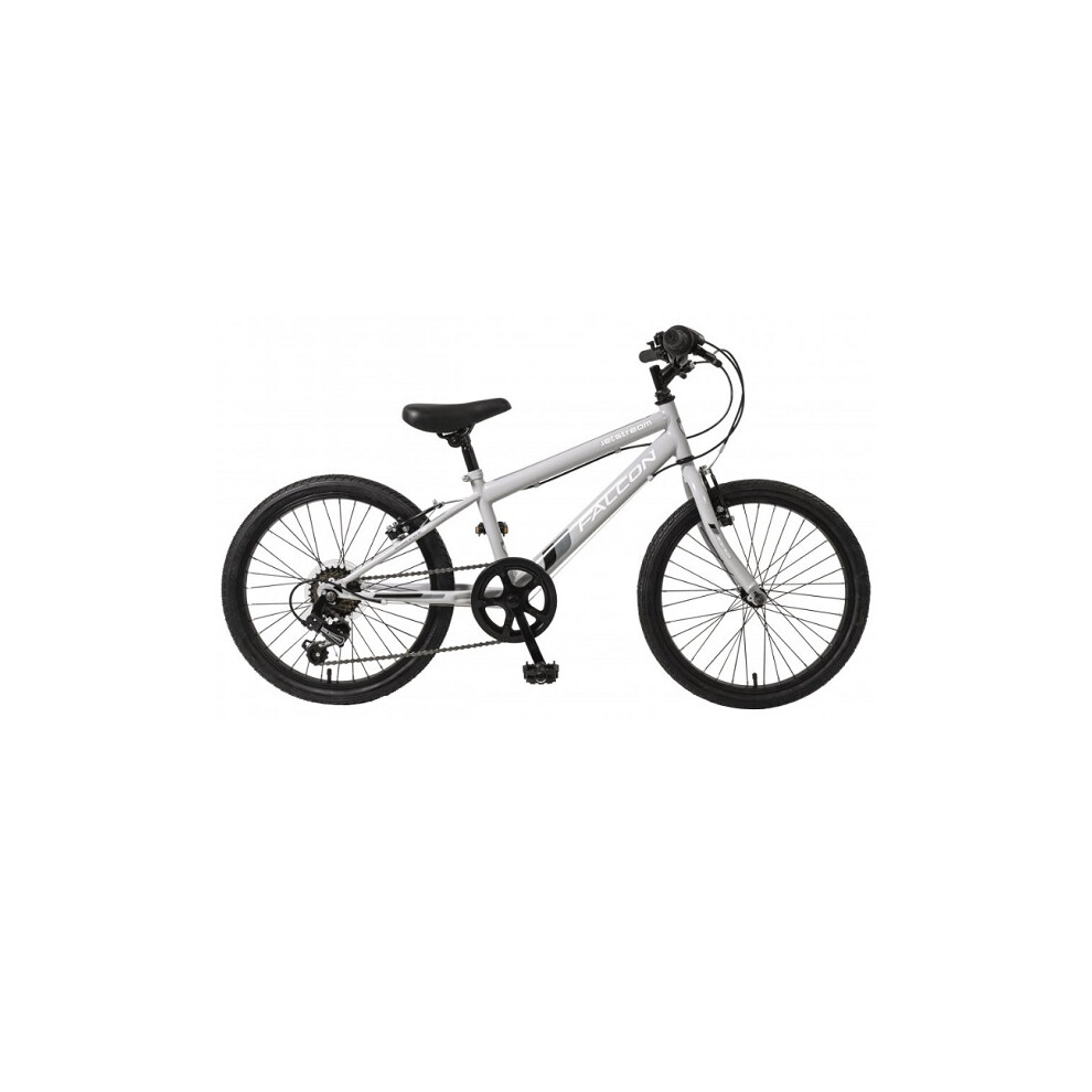 Falcon Jetstream 20 inch Boys Kids Bike Gre