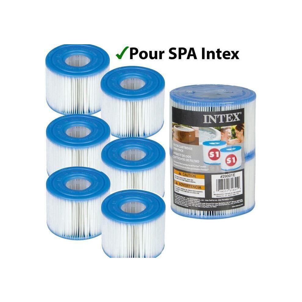 Filtration cartridges for PureSpa and INTEX S1 - Pack of 6