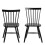 Riano Dining Chairs in Black Set of 2 2