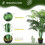 Outsunny Outsunny 125cm/4FT Artificial Palm Plant, Decorative Tree with Pot 3