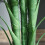 Outsunny Outsunny 125cm/4FT Artificial Palm Plant, Decorative Tree with Pot 6