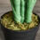 Outsunny Outsunny 125cm/4FT Artificial Palm Plant, Decorative Tree with Pot 5