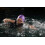 Cressi Schwimmbrille FLASH LADY 6
