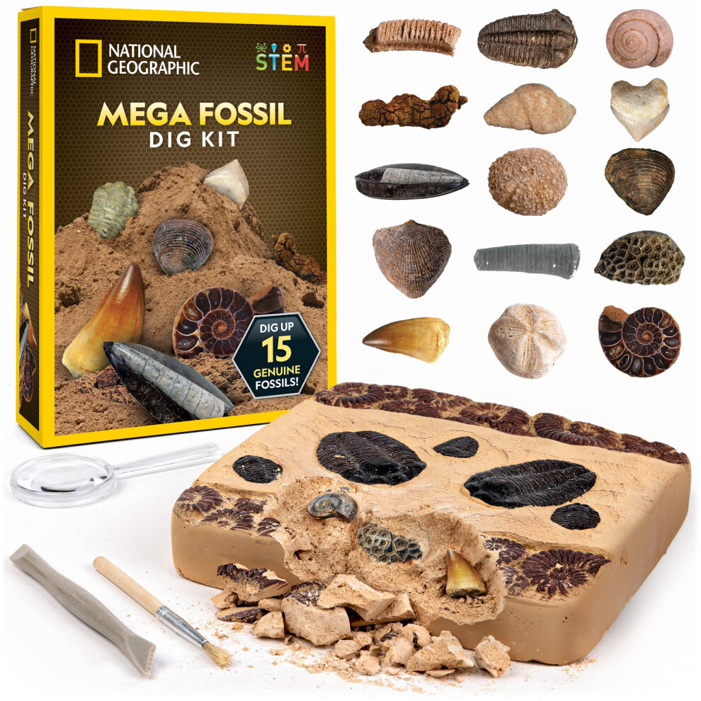 Mega Fossil Dig Kit - Excavate 15 Genuine Prehistoric Fossils, Kids Fossil Kit, Educational Toys, Great Science Kit Gift for Girls and Boys (Amazon